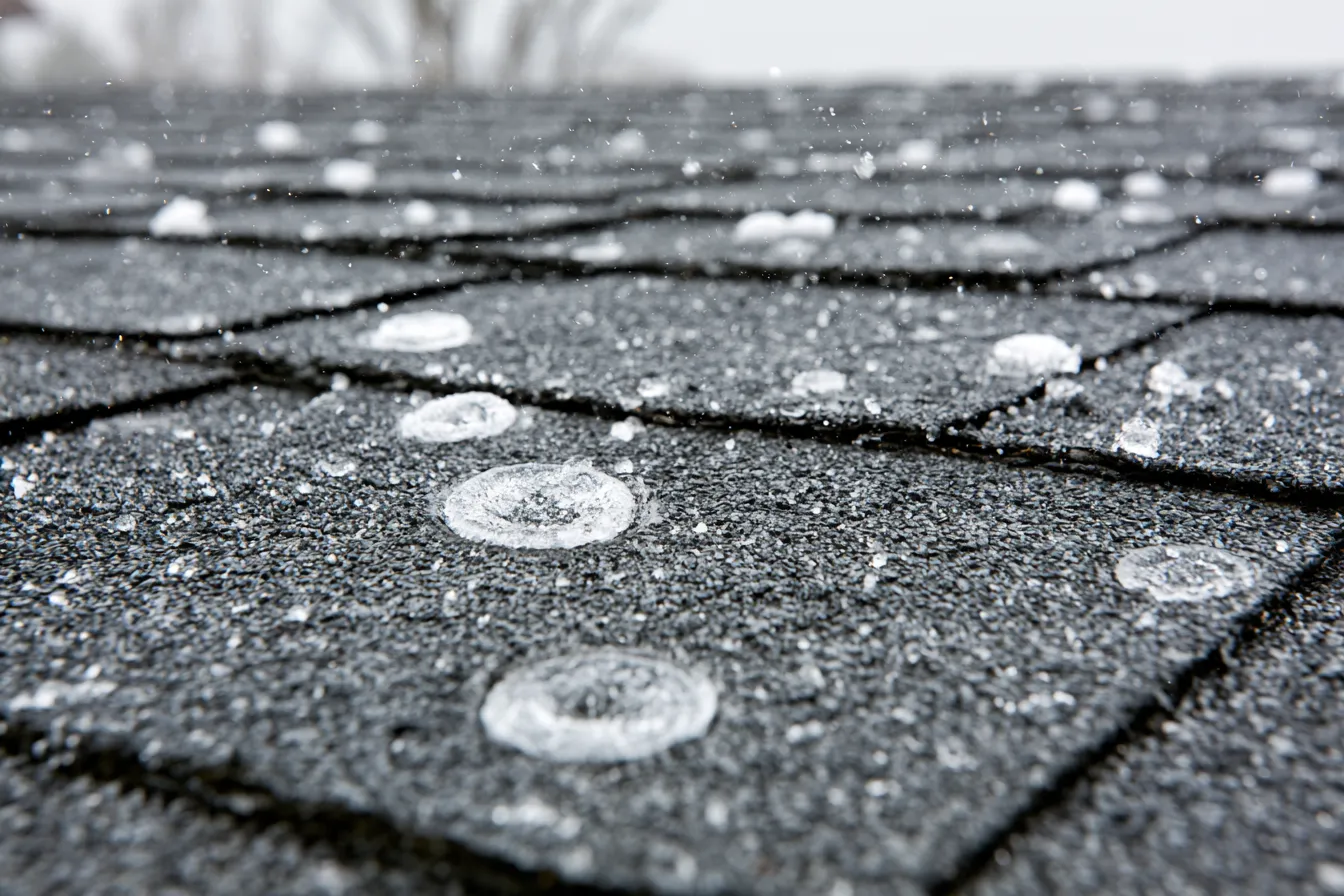 Round hail impact dents mark asphalt shingles shown in close-up